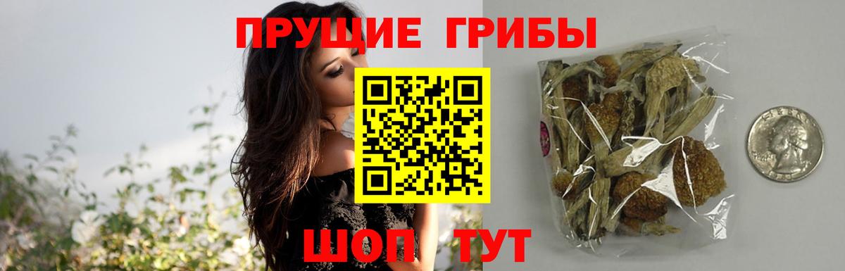 Галлюциногенные грибы прущие грибы  купить закладку  Галлюциногенные грибы мицелий  Орёл  Вход с VPN 